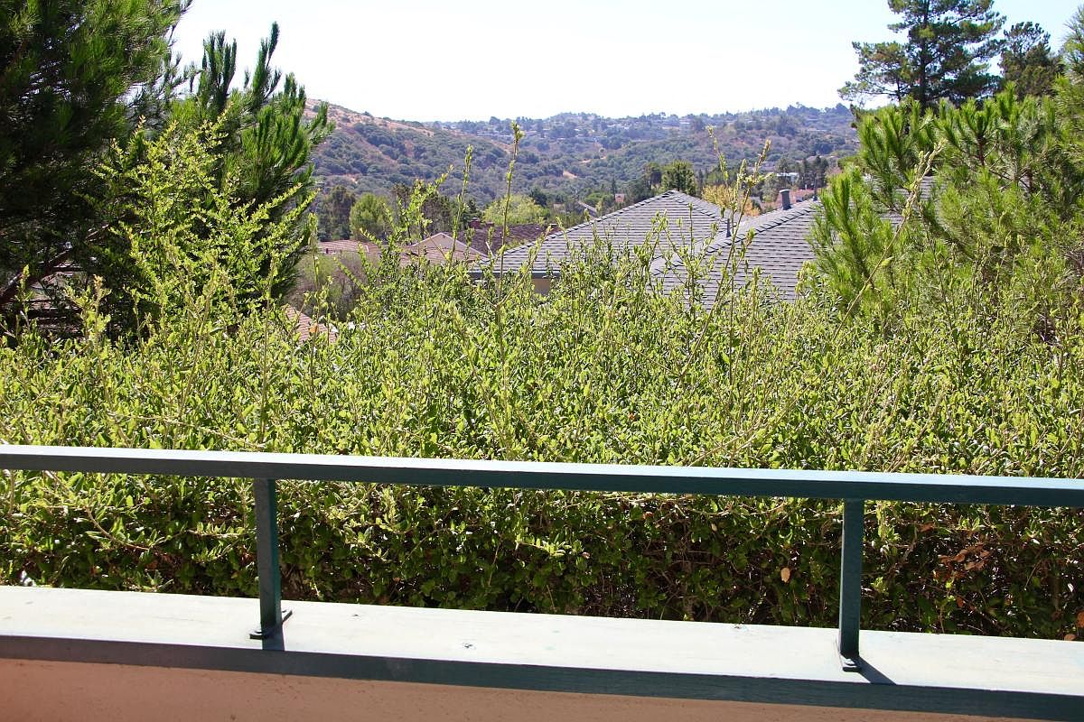 The Pines San Mateo photo 5